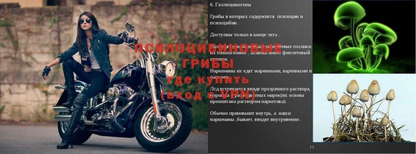 экстази Алексин